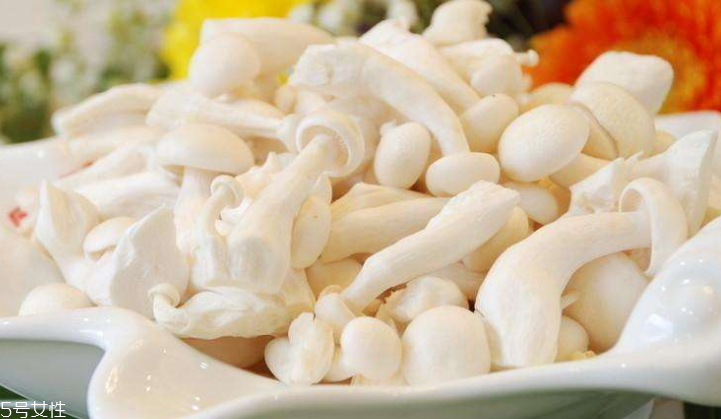 白玉菇長(zhǎng)白毛是怎么回事？白玉菇長(zhǎng)白毛還能吃嗎？