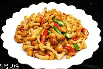 滑子菇是什么？滑子菇能吃嗎？