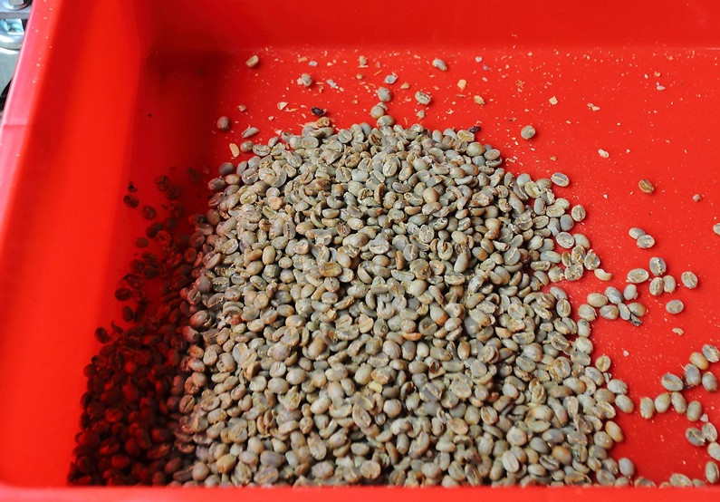 咖啡豆新豆、舊豆、老豆各有什么特色