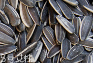 葵瓜子的熱量 葵瓜子會(huì)長(zhǎng)胖嗎？