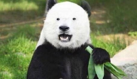 激光去黑眼圈多久恢復(fù)？激光除黑眼圈多久見(jiàn)效