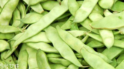 蕓豆是什么？蕓豆是豆角嗎？