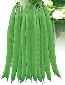 蕓豆能生吃嗎？蕓豆生吃會(huì)怎樣？