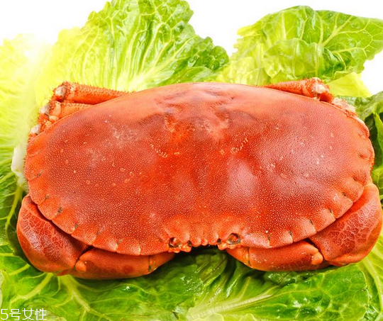 面包蟹肉多嗎？面包蟹幾月份最肥