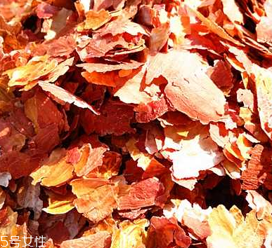 花生衣是什么？花生衣可以吃嗎？
