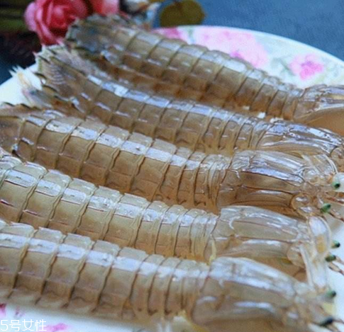 皮皮蝦能長多大？皮皮蝦最大有多大？