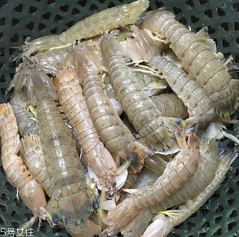皮皮蝦能和櫻桃一起吃嗎？皮皮蝦和櫻桃可以同吃嗎？