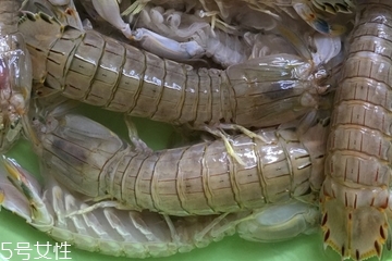 皮皮蝦皮能不能吃？皮皮蝦可以連皮吃嗎？
