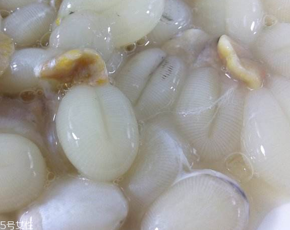 墨魚蛋的做法 墨魚蛋怎么做？