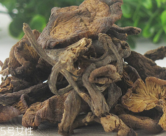榛蘑怎么吃？干榛蘑怎么吃？