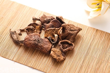 榛蘑是蘑菇嗎？榛蘑是什么蘑菇？