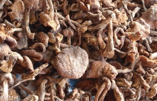 榛蘑和木耳的區(qū)別 榛蘑和木耳能一起吃嗎？