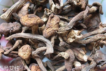 榛蘑和木耳的區(qū)別 榛蘑和木耳能一起吃嗎？