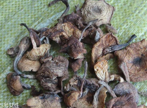 榛蘑能保存多久？干榛蘑怎么保存最好？