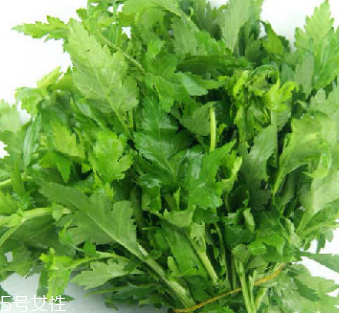 菊花腦是苦的嗎？菊花腦苦不苦？