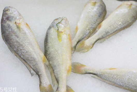 黃花魚清蒸多長時(shí)間？黃花魚清蒸的做法