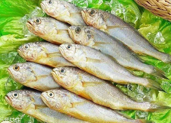 黃花魚去鱗嗎？黃花魚去內(nèi)臟嗎？
