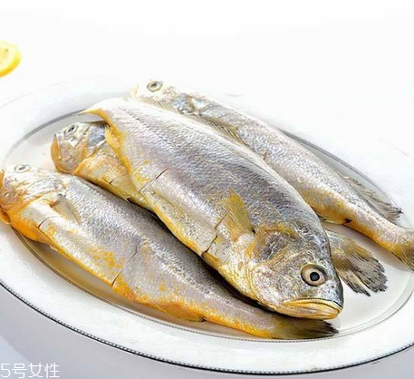 黃花魚(yú)為什么都是死的？死黃花魚(yú)可以吃嗎？