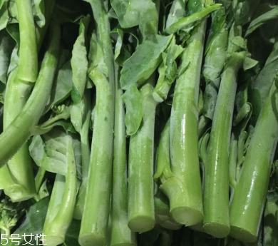 芥蘭的存儲(chǔ) 芥蘭能放冰箱嗎？