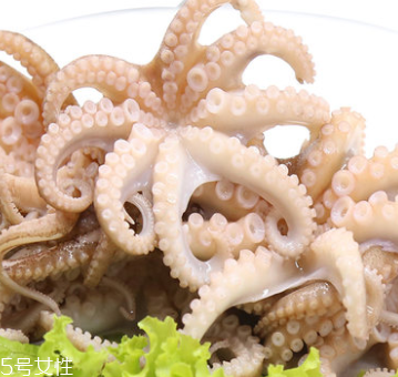 章魚是什么顏色？章魚是什么樣子？