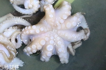 章魚(yú)會(huì)噴墨汁嗎？章魚(yú)的墨汁能吃嗎？