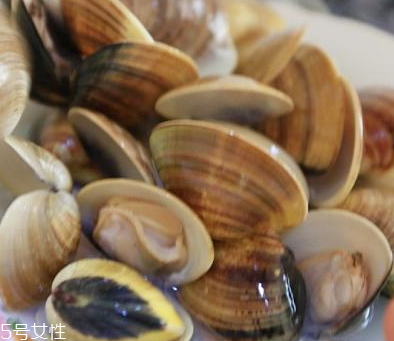 文蛤是海鮮還是河鮮？文蛤是海鮮嗎？