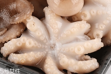 章魚可以炸嗎？章魚能油炸嗎？