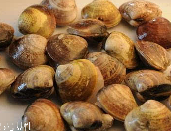 文蛤是冷水煮還是熱水？文蛤是用熱水嗎？
