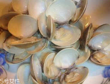 文蛤能給孕婦吃嗎？孕婦能不能吃文蛤？