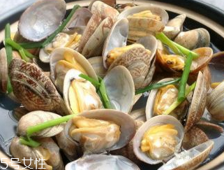 文蛤的養(yǎng)殖 文蛤怎么養(yǎng)？