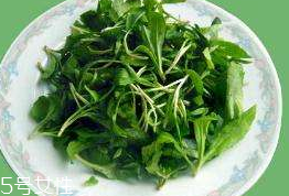馬蘭頭對人的好處？馬蘭頭有什么好處？
