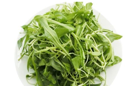 馬蘭頭是馬齒莧嗎？馬蘭頭和馬齒莧的區(qū)別