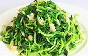 馬蘭頭能給孕婦吃嗎？孕婦能吃馬蘭頭嗎？