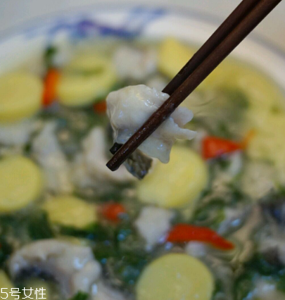 馬蘭頭可以煮魚湯嗎？馬蘭頭怎么煮魚湯
