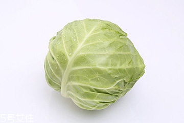牛心菜是包菜嗎？牛心菜和包菜的區(qū)別