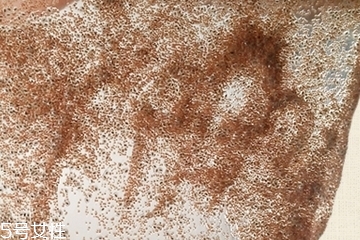 海藻面膜會發(fā)芽嗎？真的海藻面膜會發(fā)芽嗎？