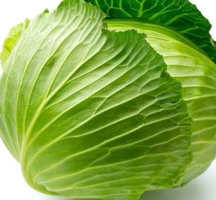 牛心菜能多吃嗎？牛心菜吃多了會怎樣？