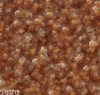 海藻面膜能加蜂蜜嗎？蜂蜜和海藻做面膜好嗎？