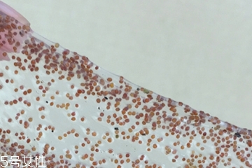 海藻面膜可以加維生素e嗎？海藻加維生素e可以用嗎？