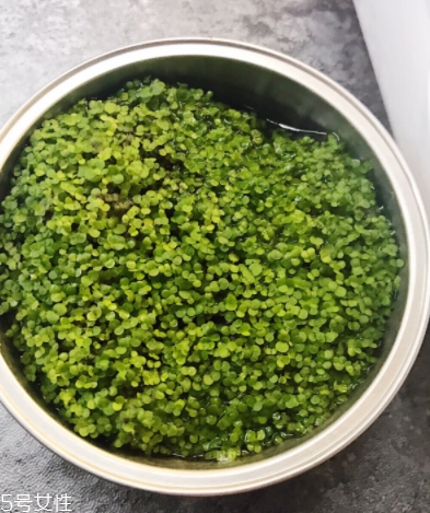 海藻面膜為什么會(huì)出膠？海藻面膜的膠是什么？