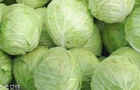 牛心菜是寒性還是熱性？牛心菜是寒性的嗎？