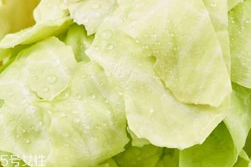 牛心菜是寒性還是熱性？牛心菜是寒性的嗎？