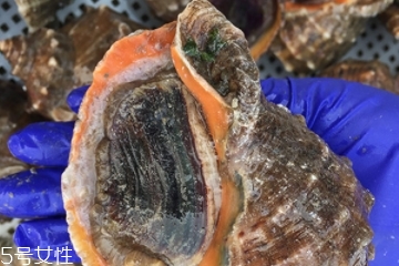 海螺開水還是冷水下鍋？海螺冷水還是熱水煮？