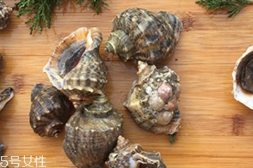 海螺會中毒嗎？吃海螺中毒多久會緩解？