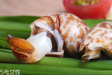 海螺能和西瓜一起吃嗎？海螺和西瓜能同食嗎？