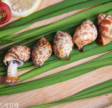 海螺能和西瓜一起吃嗎？海螺和西瓜能同食嗎？