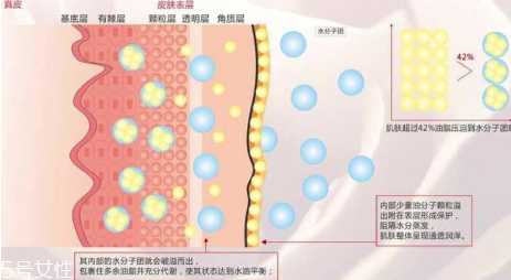 頑固痘痘怎么消除？油皮為什么反復(fù)爆痘？