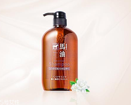 馬油洗發(fā)水是哪里產(chǎn)的？馬油洗發(fā)水是哪國的？