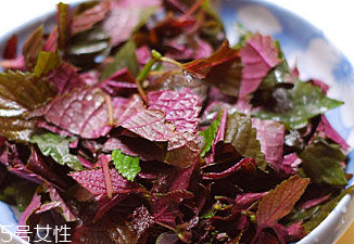 紫蘇葉能治皮膚過敏嗎？