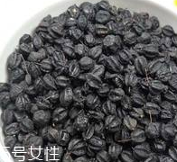 刺五加怎么吃？刺五加有什么用？